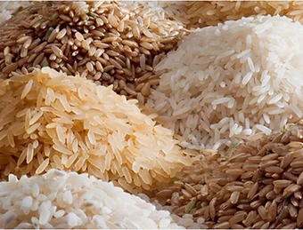 nutrient rice2-2023022