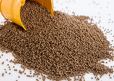 Fish Feed